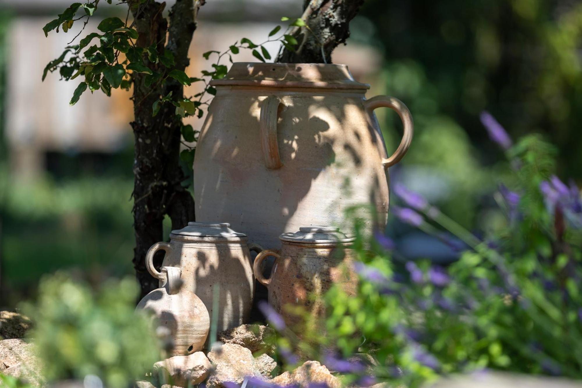 Domaine La Pomme De Pin Bed & Breakfast Louroux-de-Beaune Luaran gambar