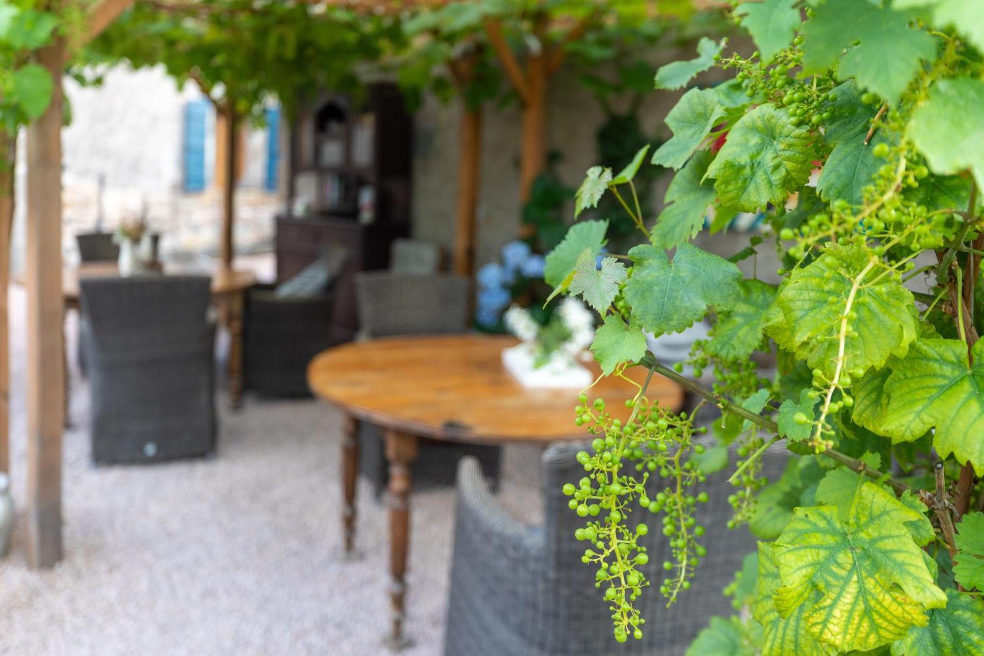Domaine La Pomme De Pin Bed & Breakfast Louroux-de-Beaune Luaran gambar